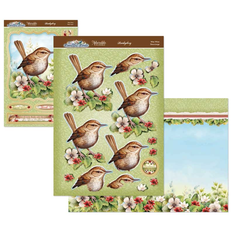 Joli Ensemble Deco-Large Oiseaux - Troglodyte Mignon