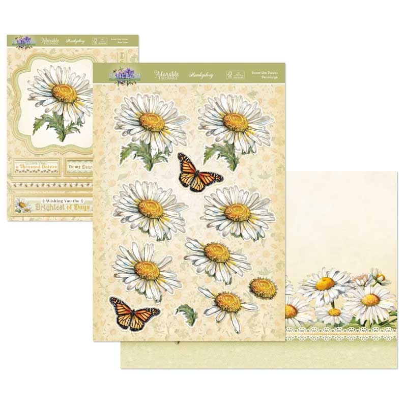 Kit de Décoration Grand Format En Pleine Floraison - Doux Comme des Marguerites