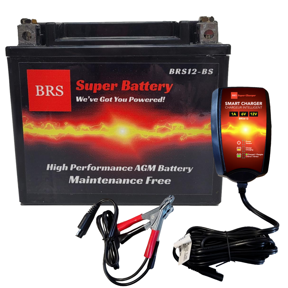 BRS12-BS Garantie de 30 jours Batterie et chargeur/mainteneur intelligent Combo Kit groupé