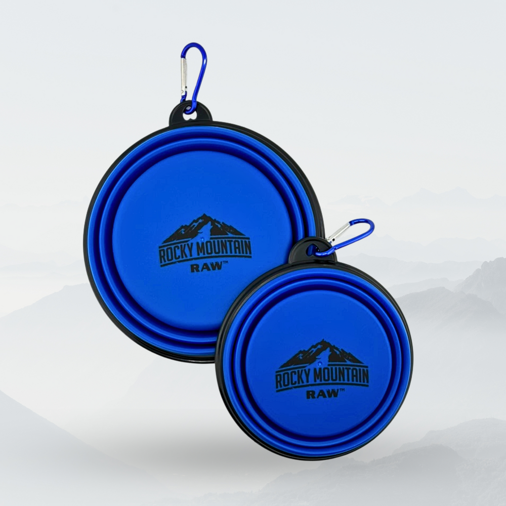Gamelle pliable pour chien BLEU