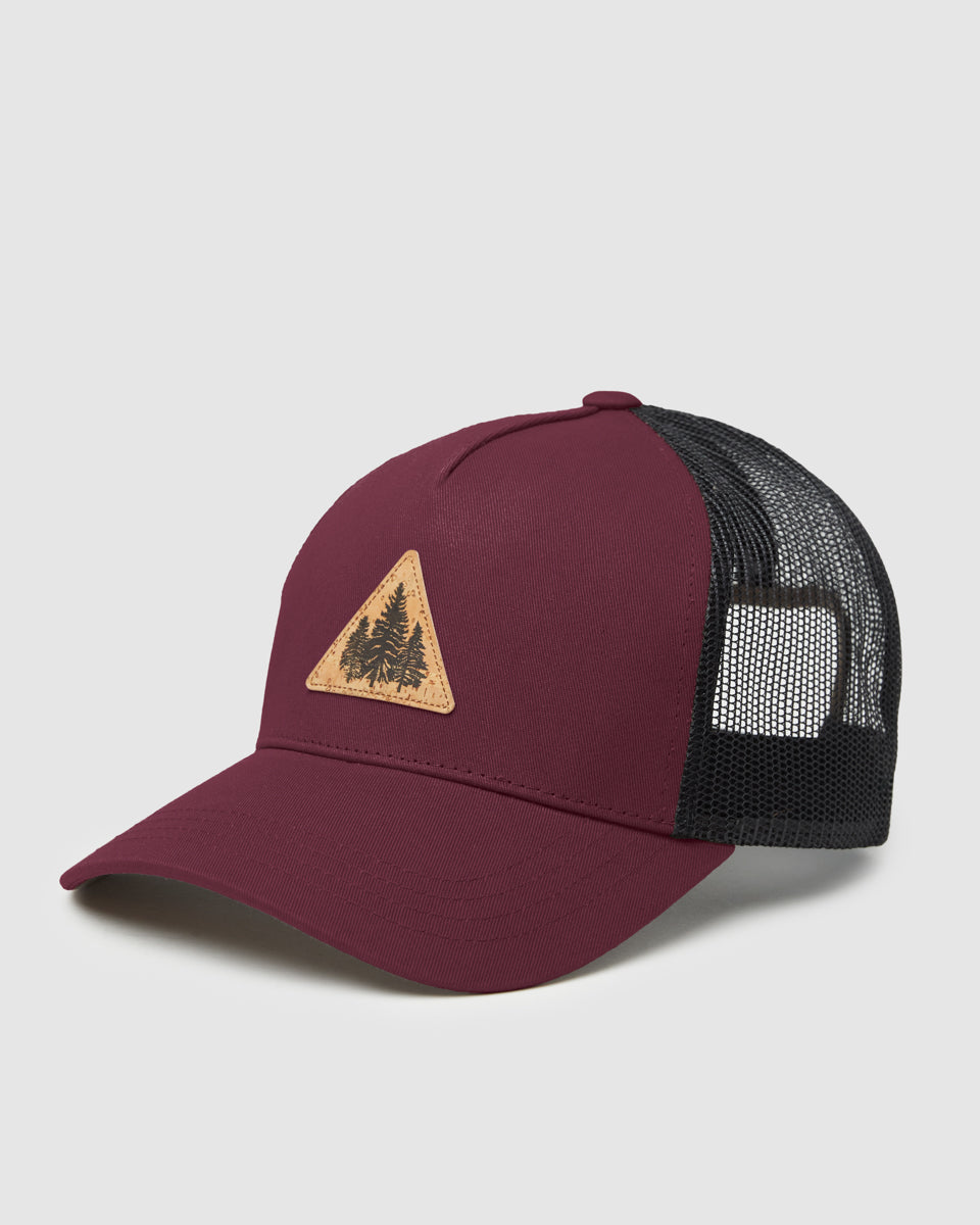 Casquette Altitude Trio de Pin