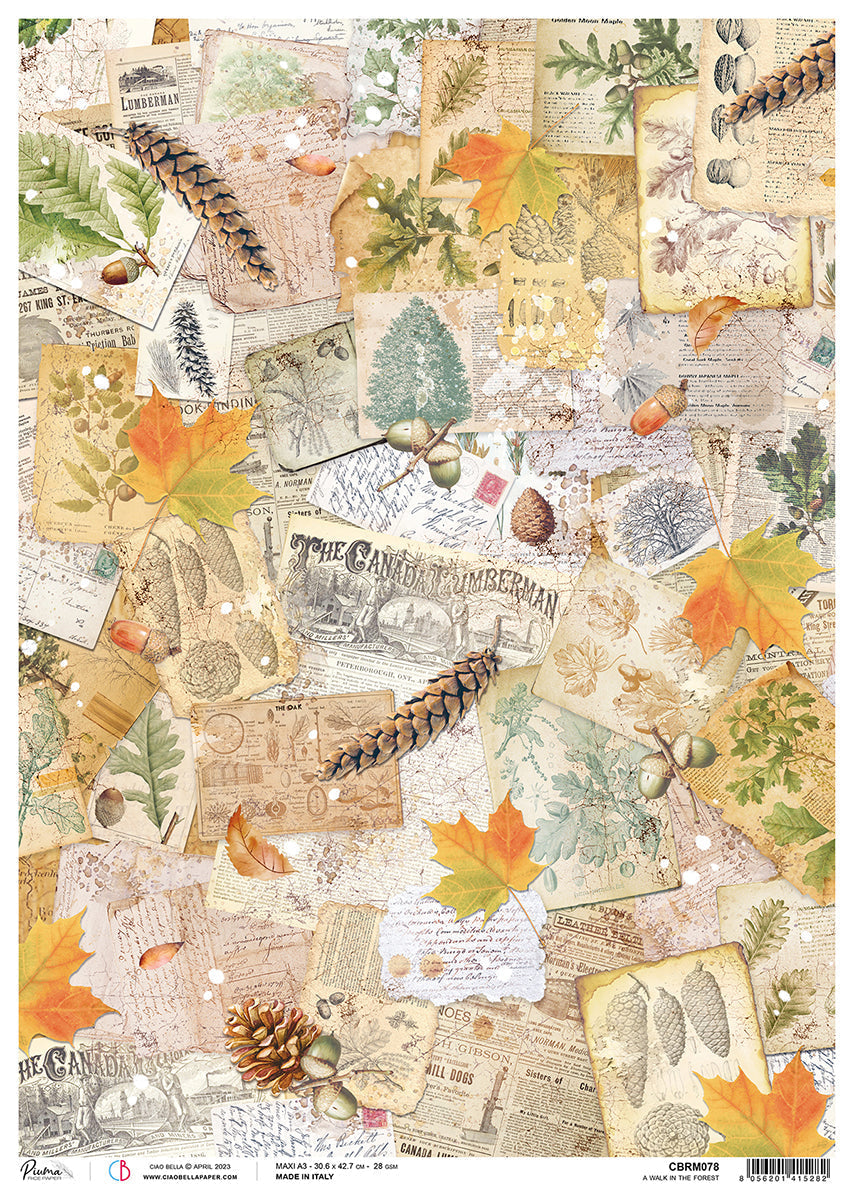 Ciao Bella Rice Paper A3 Piuma A Walk In The Forest - 3 Sheets — Ecstasy Crafts
