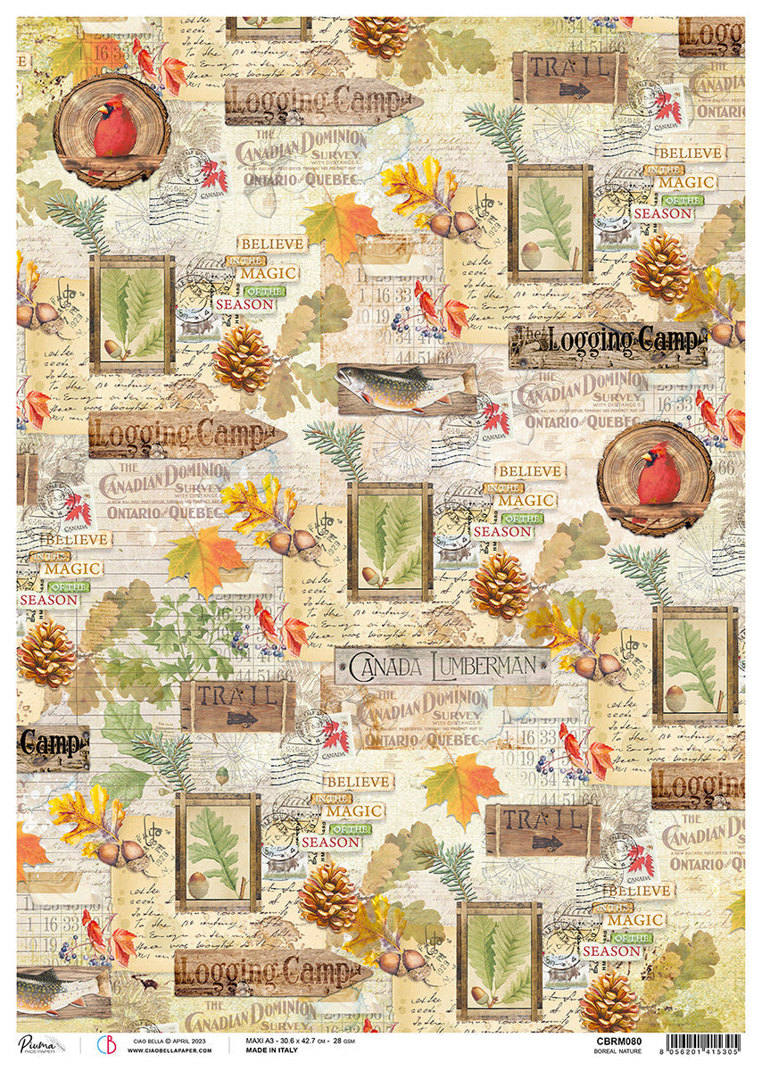 Ciao Bella Rice Paper A3 Piuma Boreal Nature - 3 Sheets — Ecstasy Crafts
