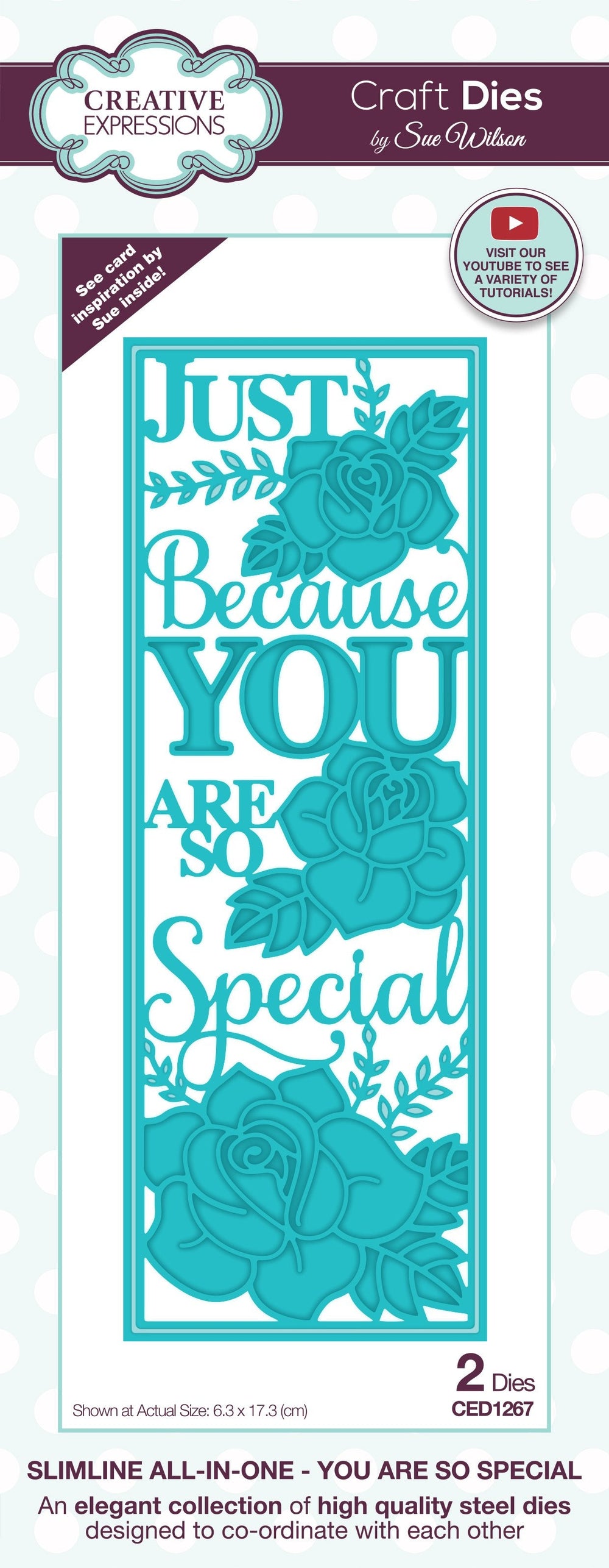 Matrice de découpe Creative Expressions Sue Wilson Slimline You Are So Special