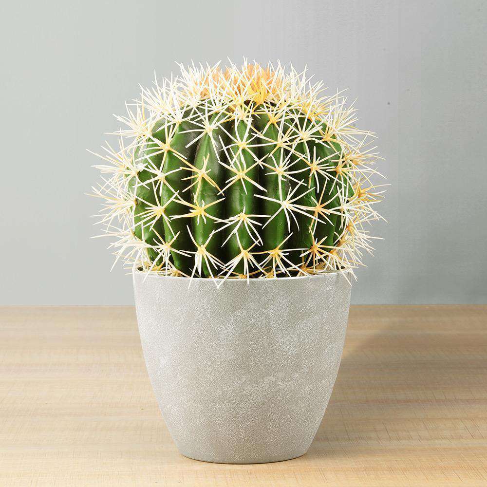 Cactus Artificiel Coco en Pot 11"