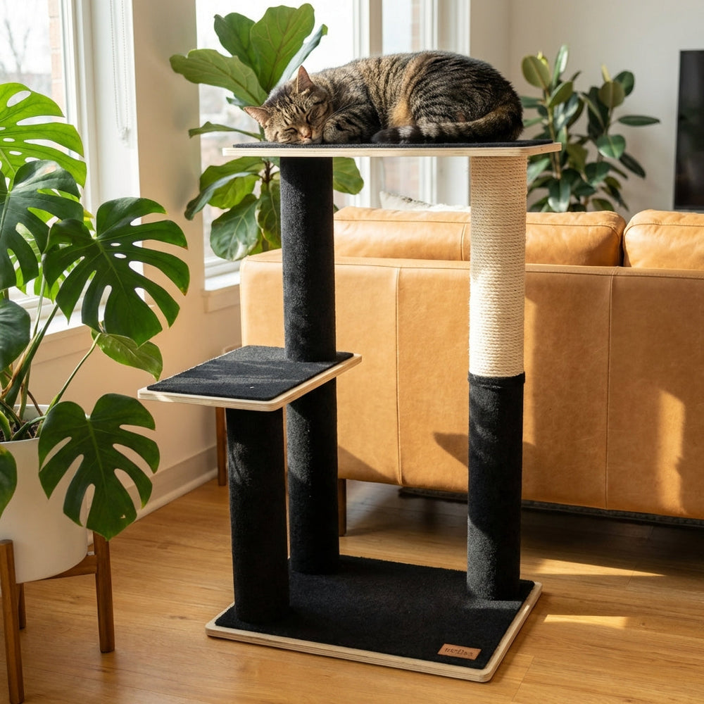 Arbre à chat moderne à 2 niveaux en contreplaqué Noba