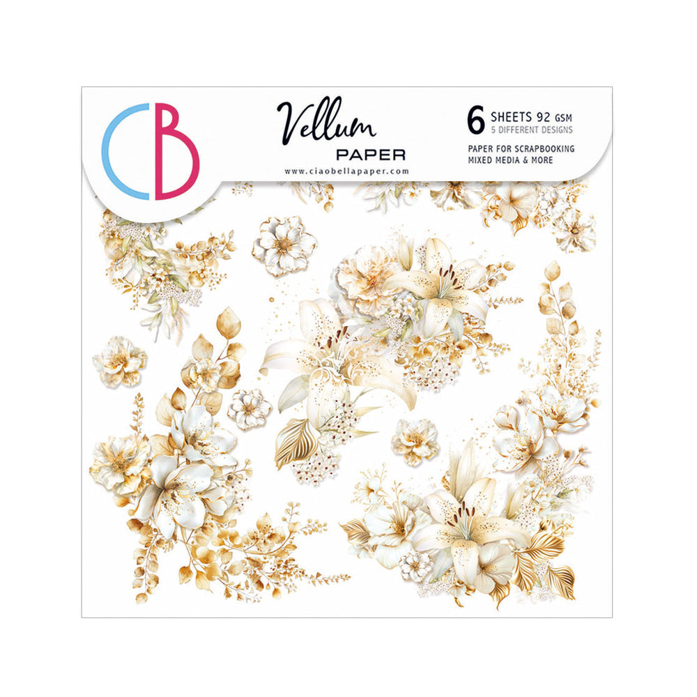 Vellum Bénédiction Jour Découpe minutieuse 15x15cm 6/Paquet