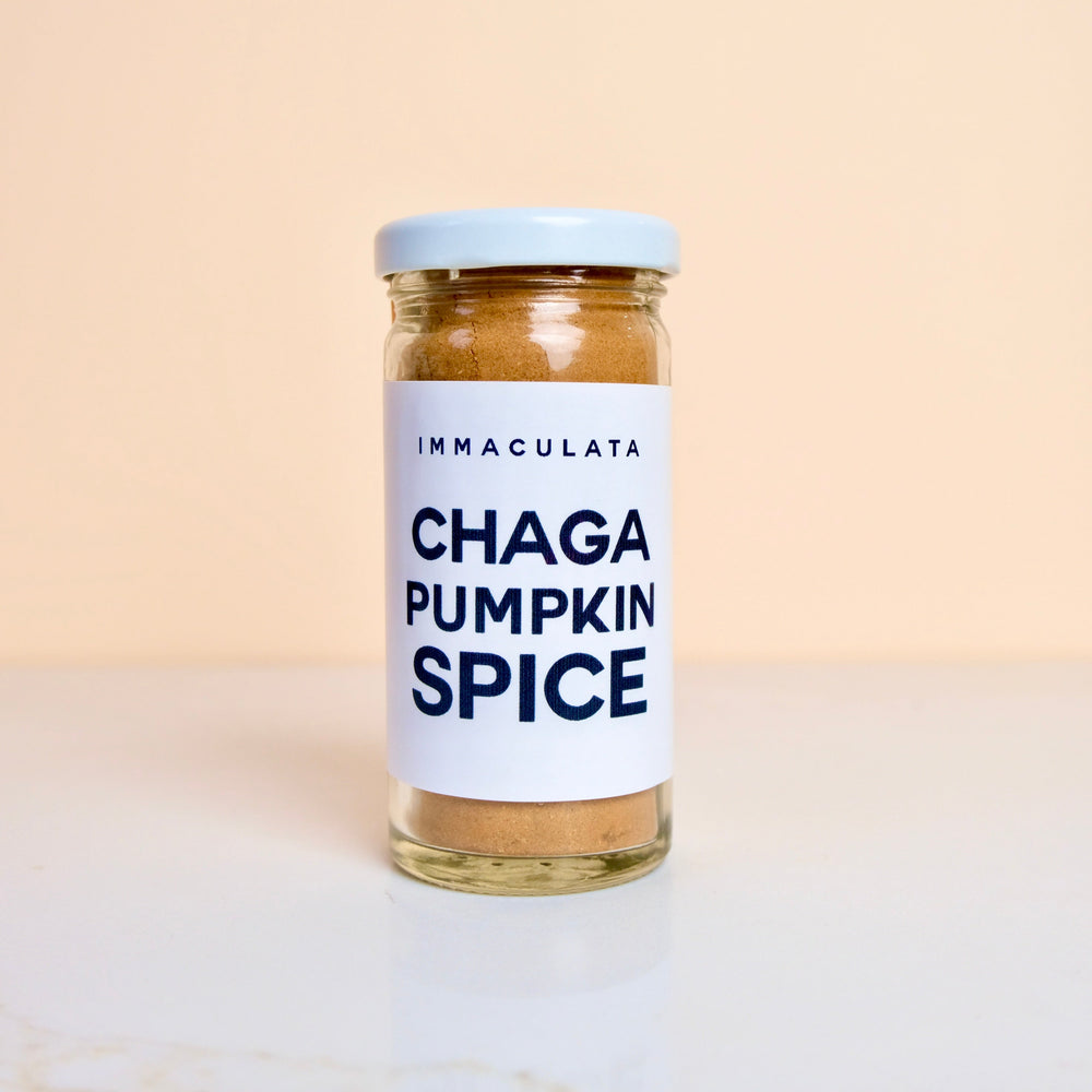 CHAGA PUMPKIN SPICE
