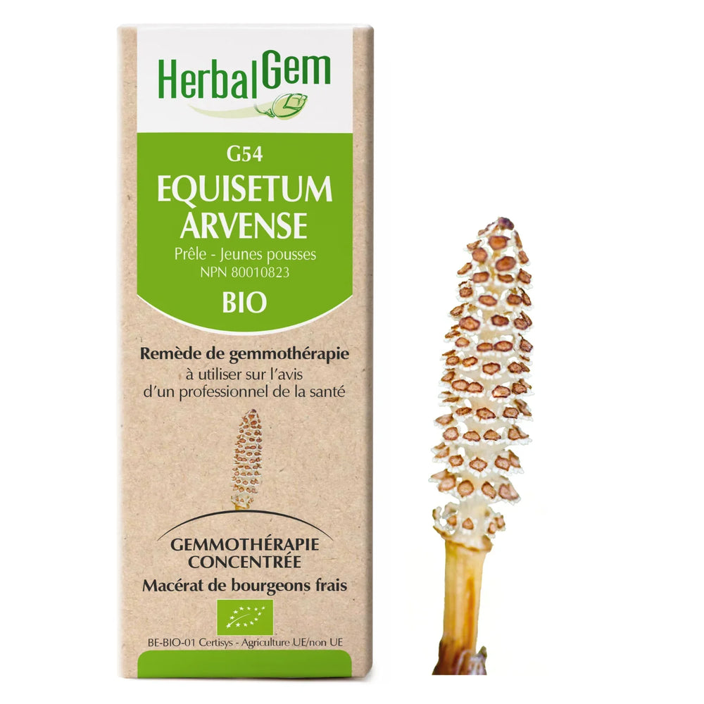 G54 - Equisetum arvense - Horsetail — Unytii - Suppléments et Produits Naturels