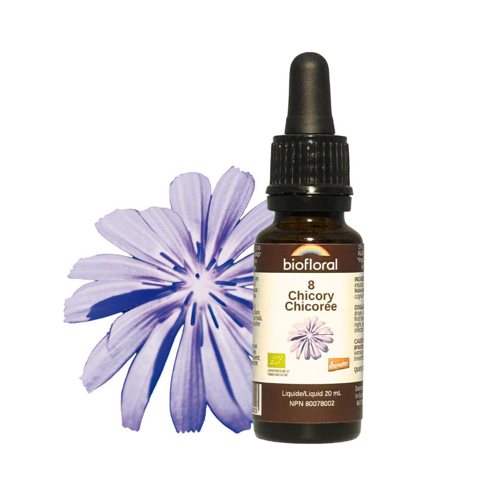 Chicory — Unytii - Suppléments et Produits Naturels