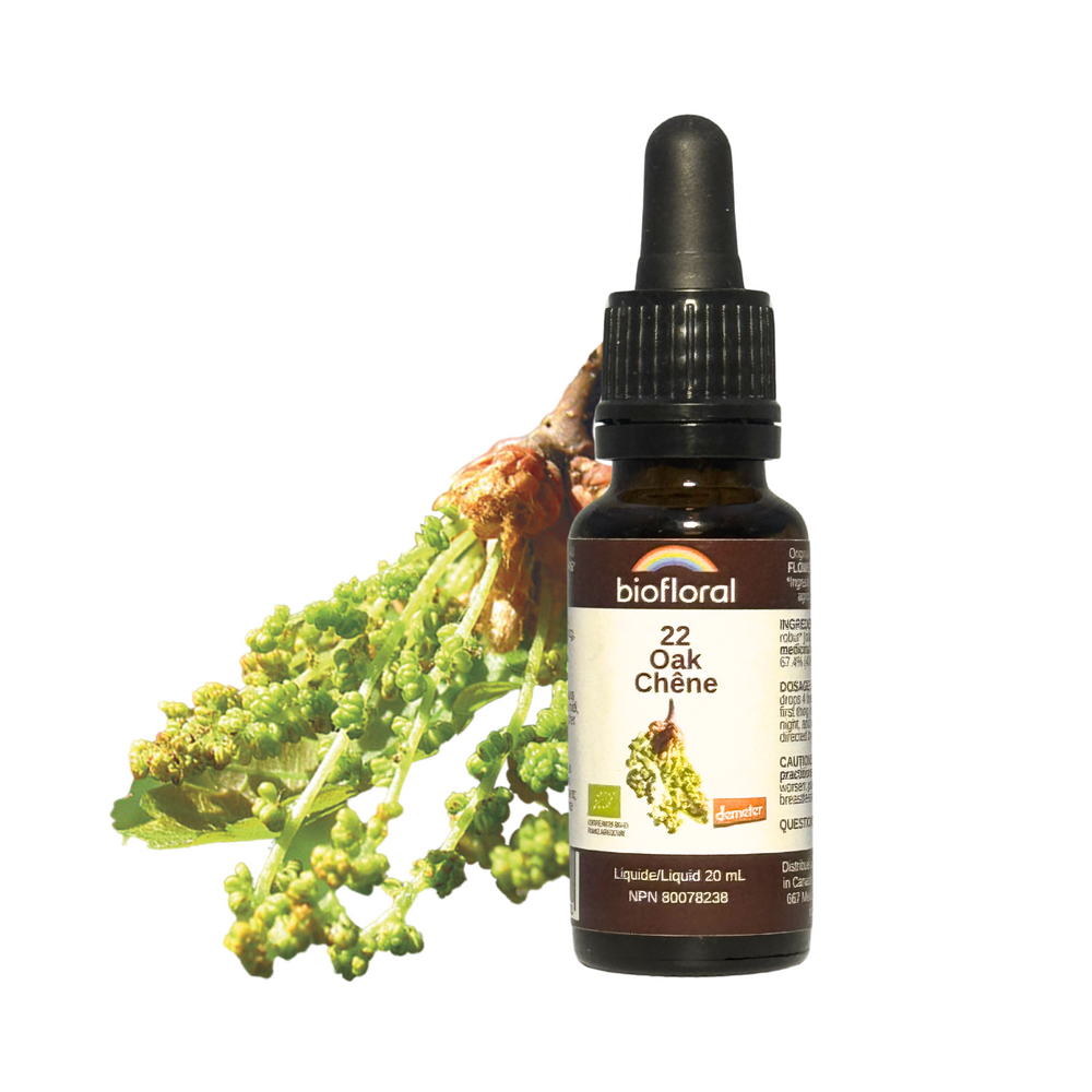 Oak — Unytii - Suppléments et Produits Naturels
