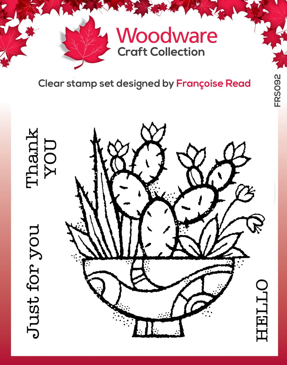 Woodware Clear Singles Tampon Affichage de Succulentes 10 x 10 cm