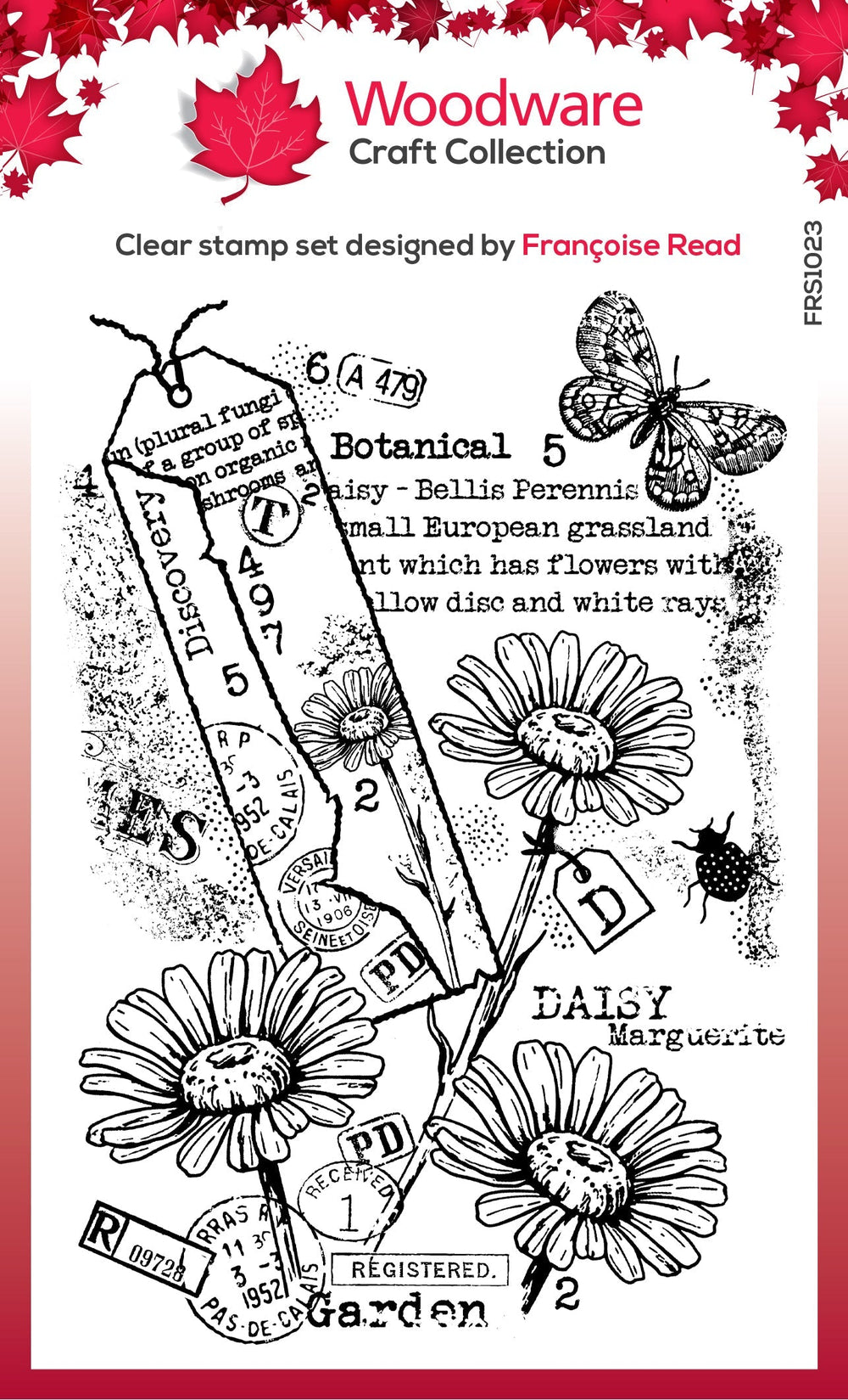 Tampon en bois transparent Garden Daisies 4 po x 6 po