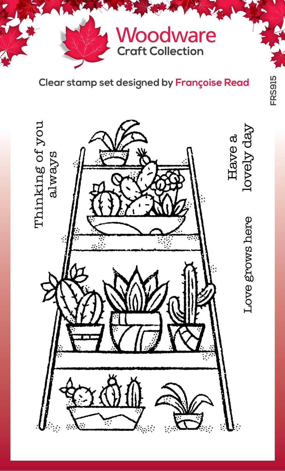 Tampon en bois transparent pour jardin intérieur 10 cm x 15 cm