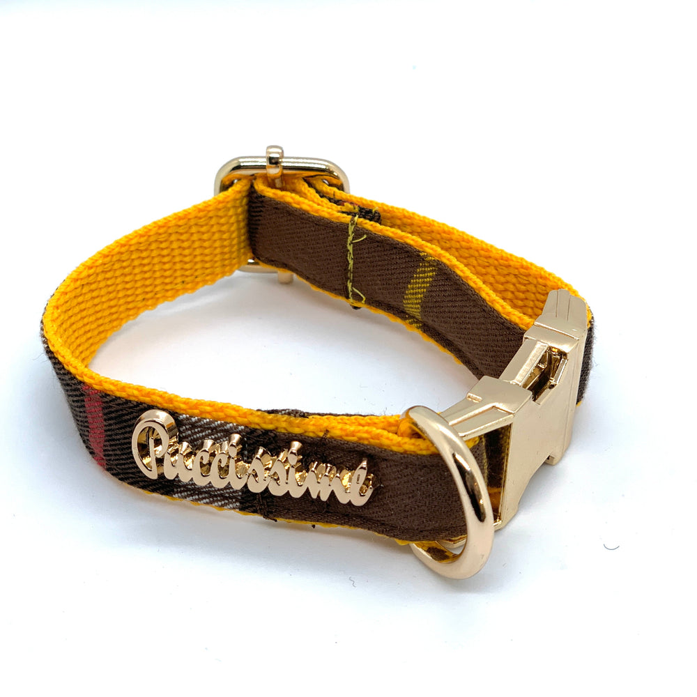 Collier médaillon pour chien