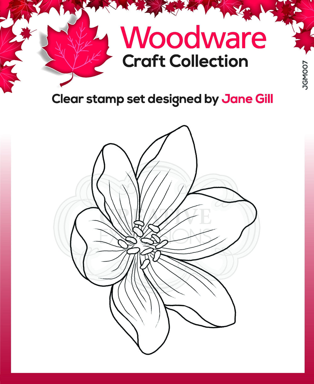 Tampon Woodware Clear Singles Mini Garden Spray 9,7 cm x 6,6 cm