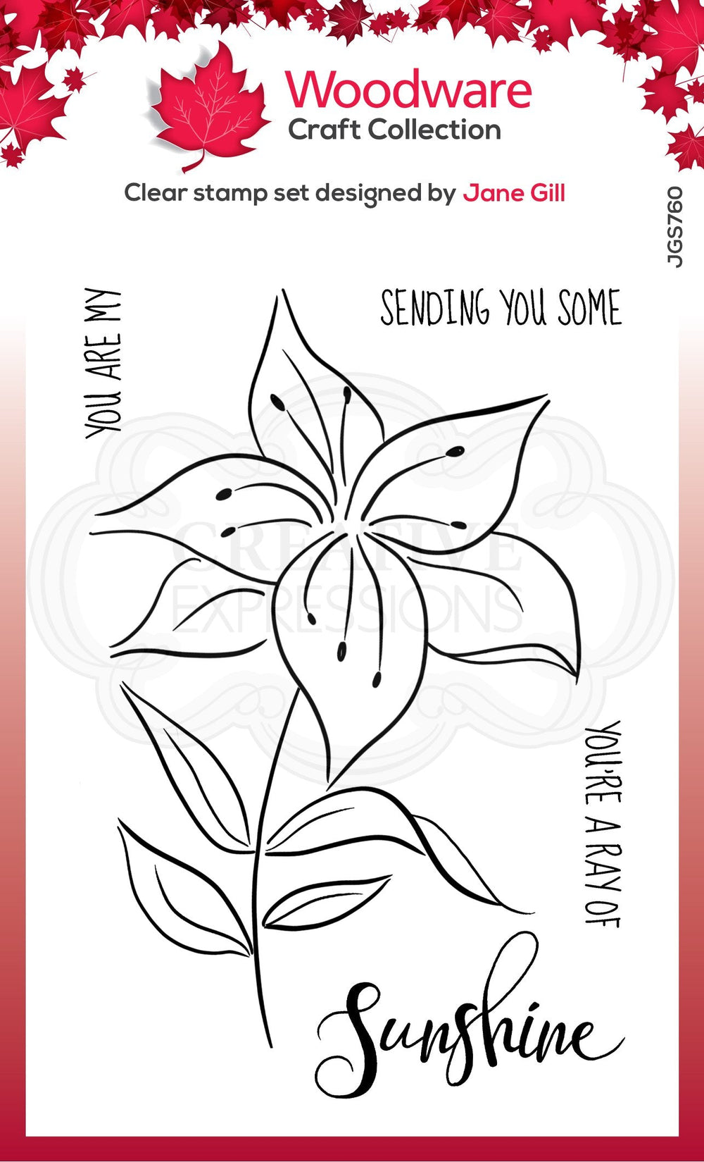 Woodware Clear Singles Lily Sketch 4 in x 6 in Stamp