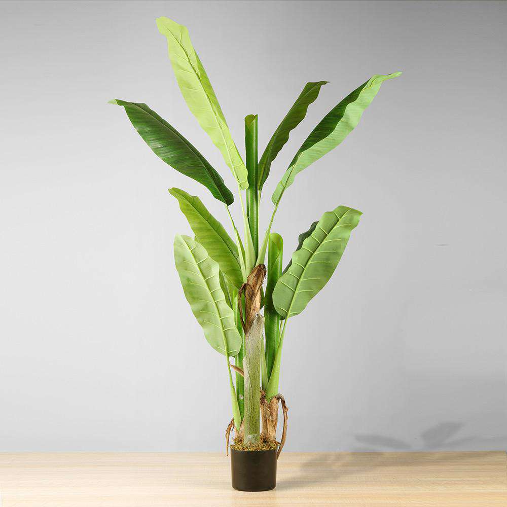 Arbre bananier artificiel Kiki en pot 55''