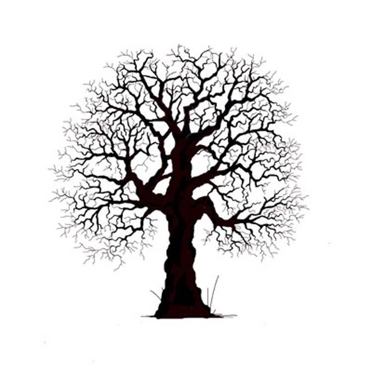 Lavinia Stamp - Oak Tree — Ecstasy Crafts