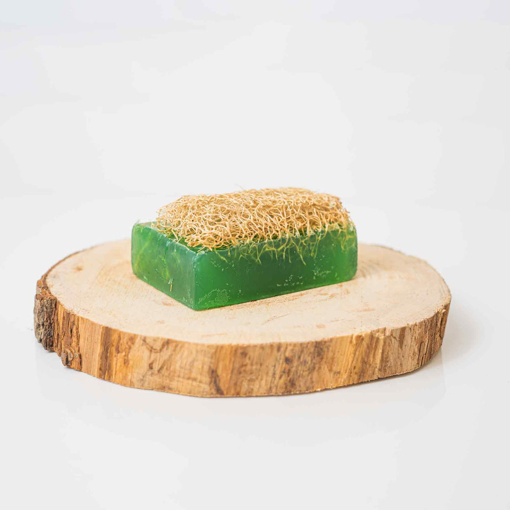 Loofah Soap: Aloe Vera — Rayhana Organics