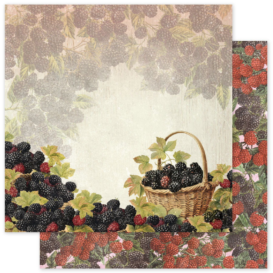 Meadowbrook Farm Basics F 12 x 12 Paper (12 pc Bulk Pack) 35061 — Ecstasy Crafts