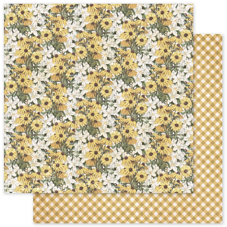 Meadowbrook Farm Patterns C 12 x 12 Paper (12 pc Bulk Pack) 35097 — Ecstasy Crafts