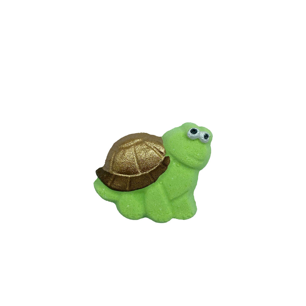 Mini Tortue
