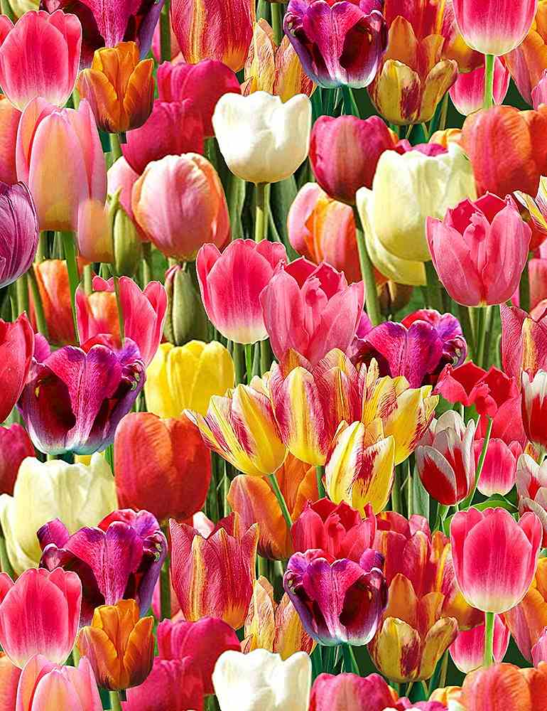 Timeless Treasure- Tulips- Nature-C6711-Bright