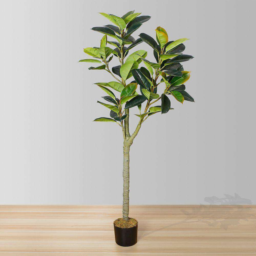 Plante artificielle Nero en caoutchouc 5 pi