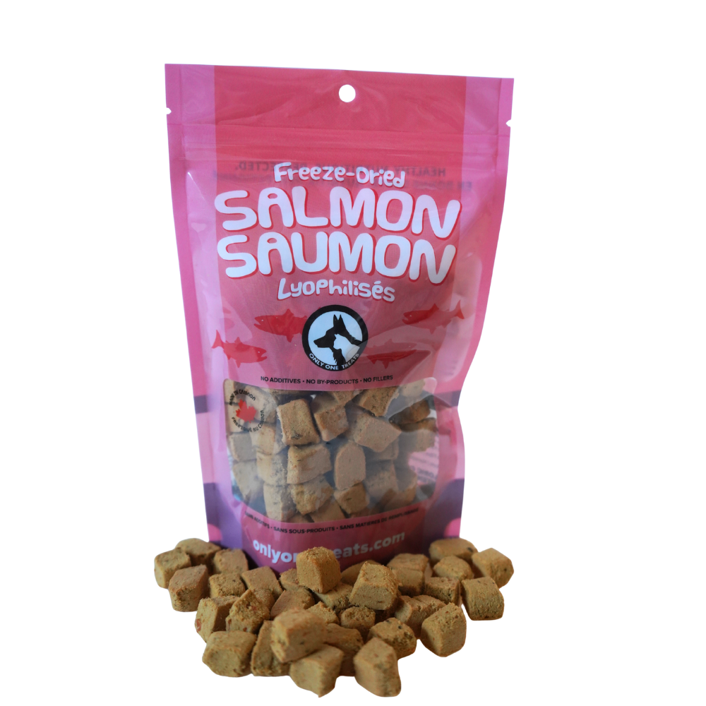 Saumon Lyophilisé 43g