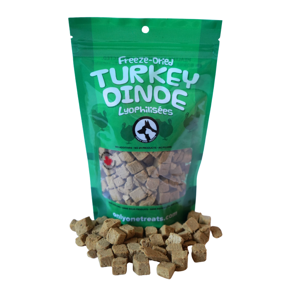 Dinde lyophilisée 43g