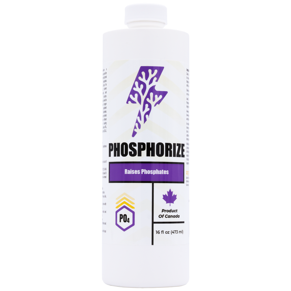 Phosphorer