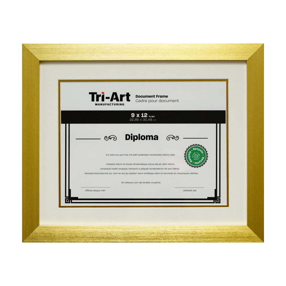 Cadres de diplôme