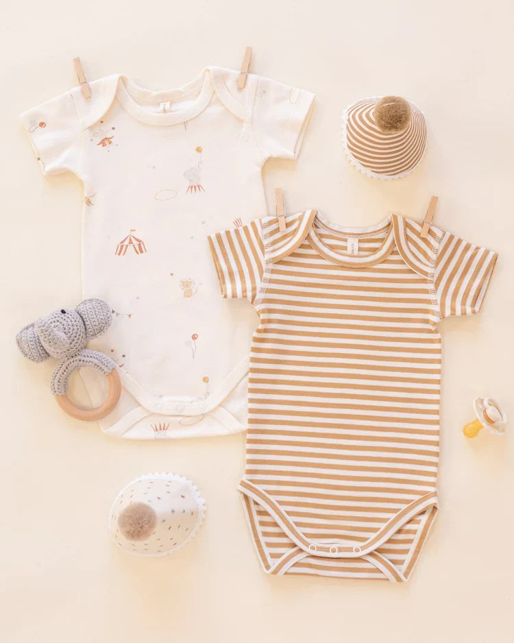 Short Sleeve Bodysuit Pack | Carnival, Honey Stripe | Quincy Mae