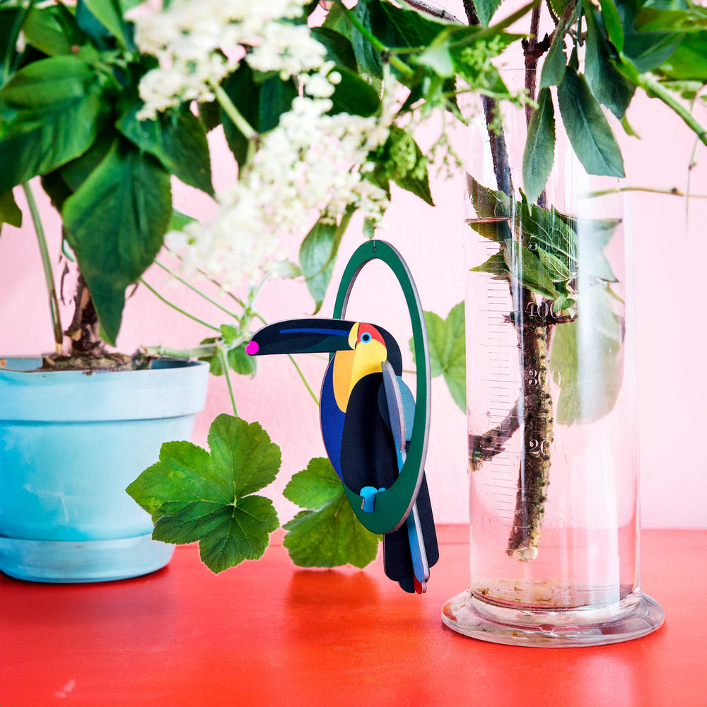 Toucan se balançant