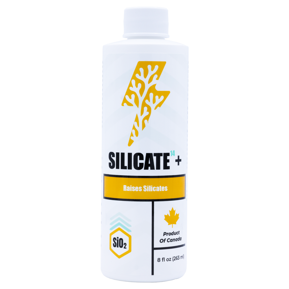 Silicate¹⁴+