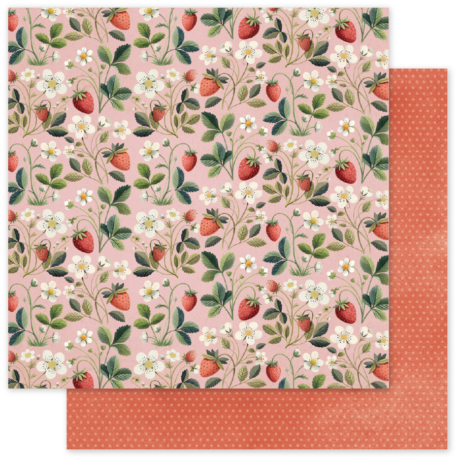 Strawberry Friends B 12 x 12 Paper (12 pc Bulk Pack) 34866 — Ecstasy Crafts