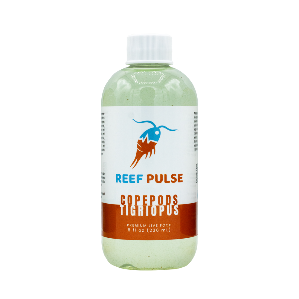 Copépodes vivants Tigriopus - Reef Pulse