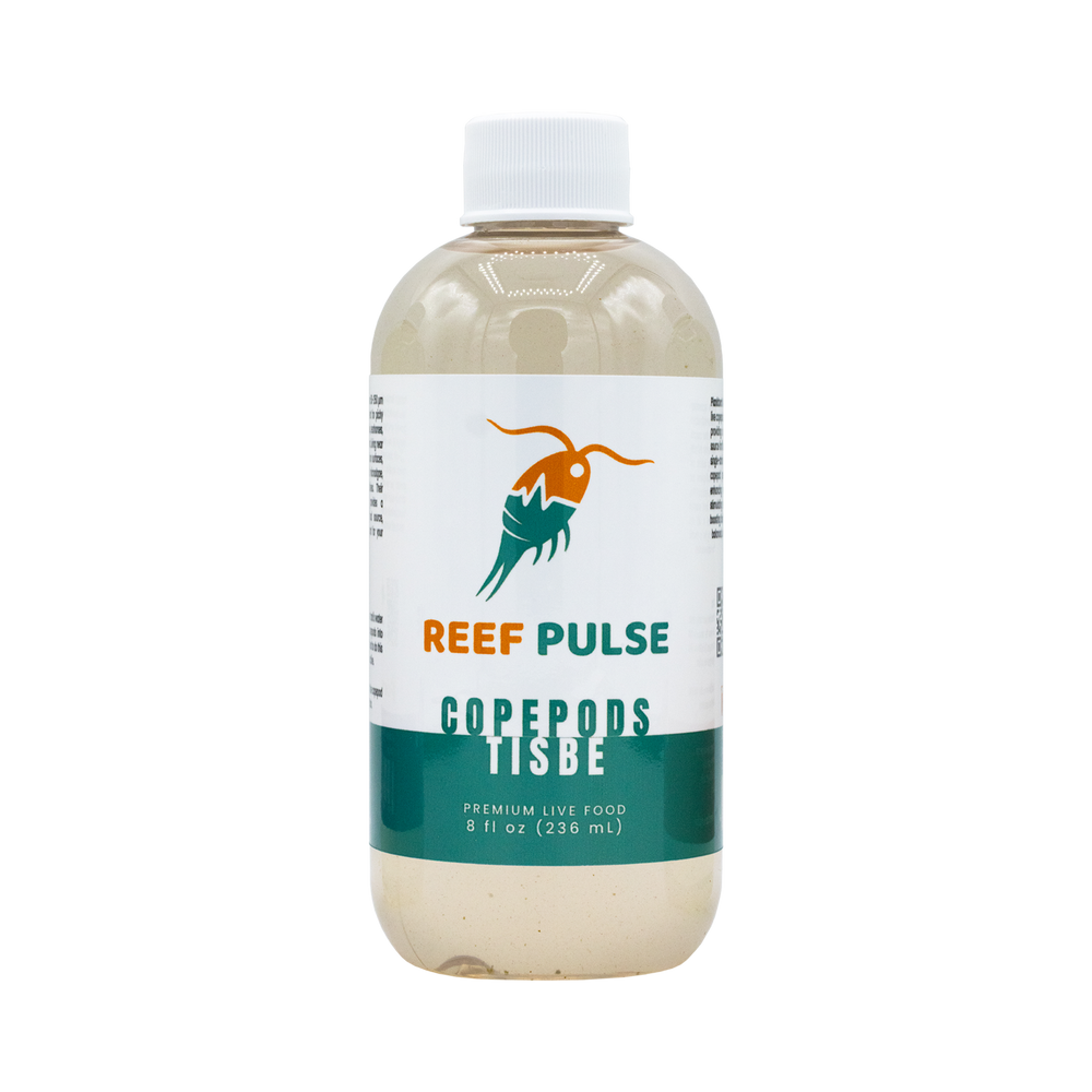 Tisbe Live Copépodes - Reef Pulse