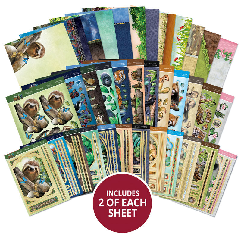 Collection Deco-Large "Into The Wild Designer"