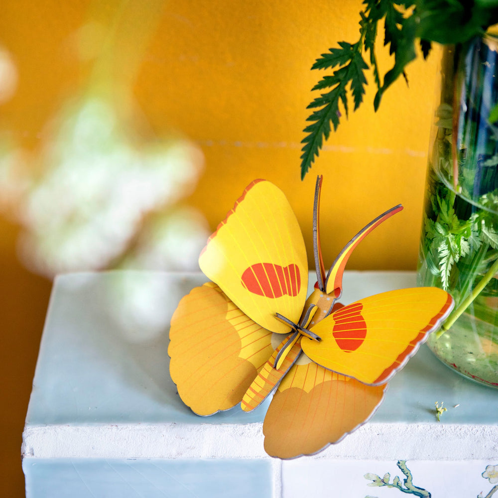 Papillon jaune