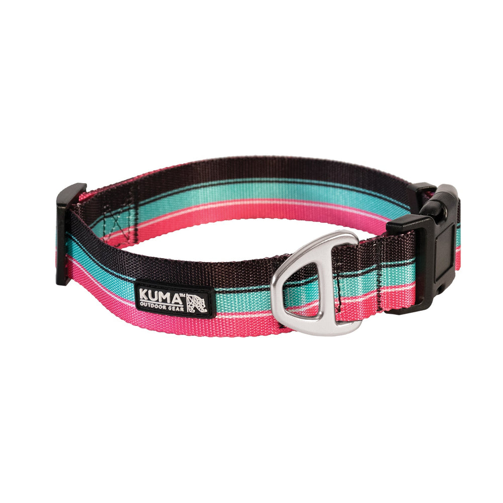 Backtrack Dog Collar
