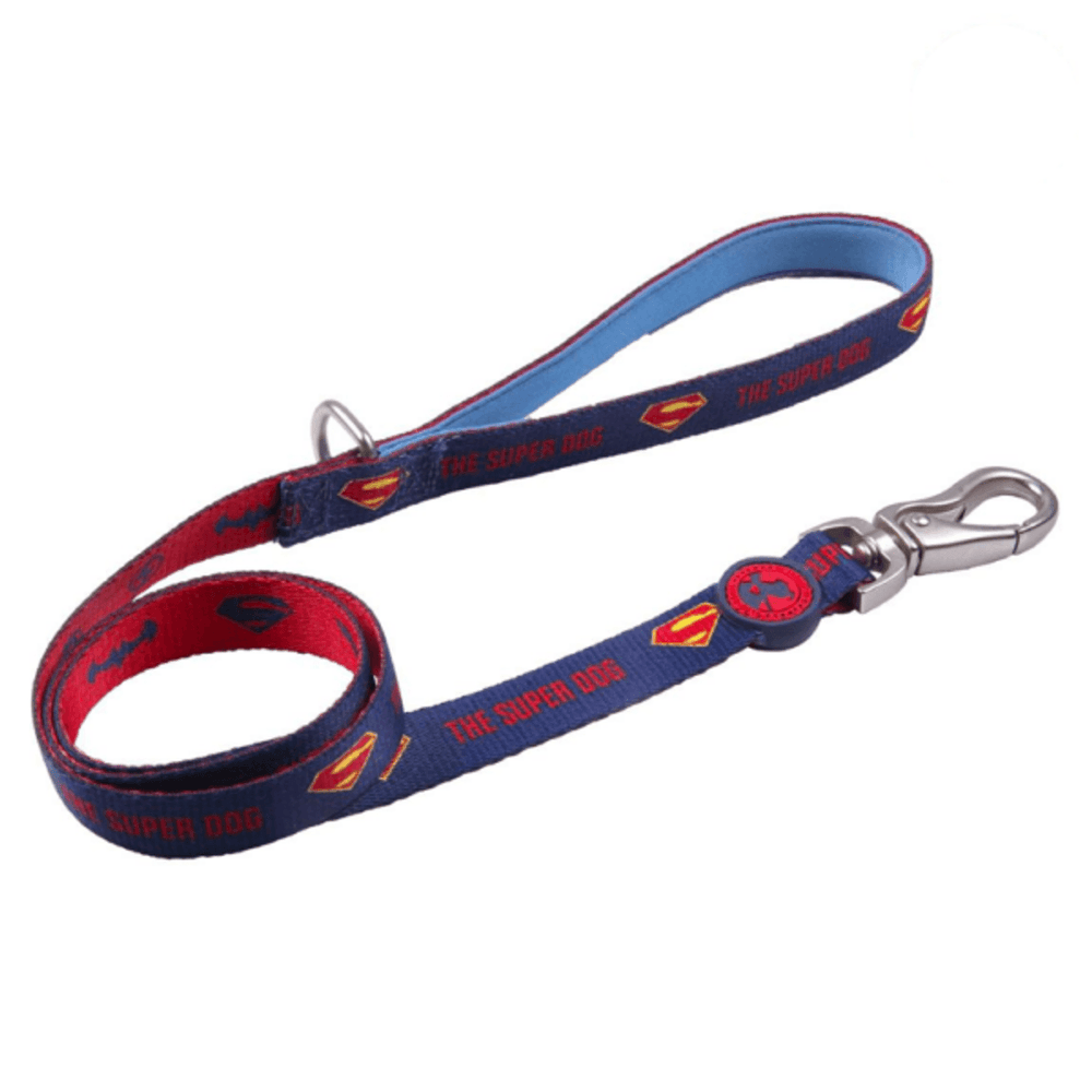 Laisse pour chien DC Superpets