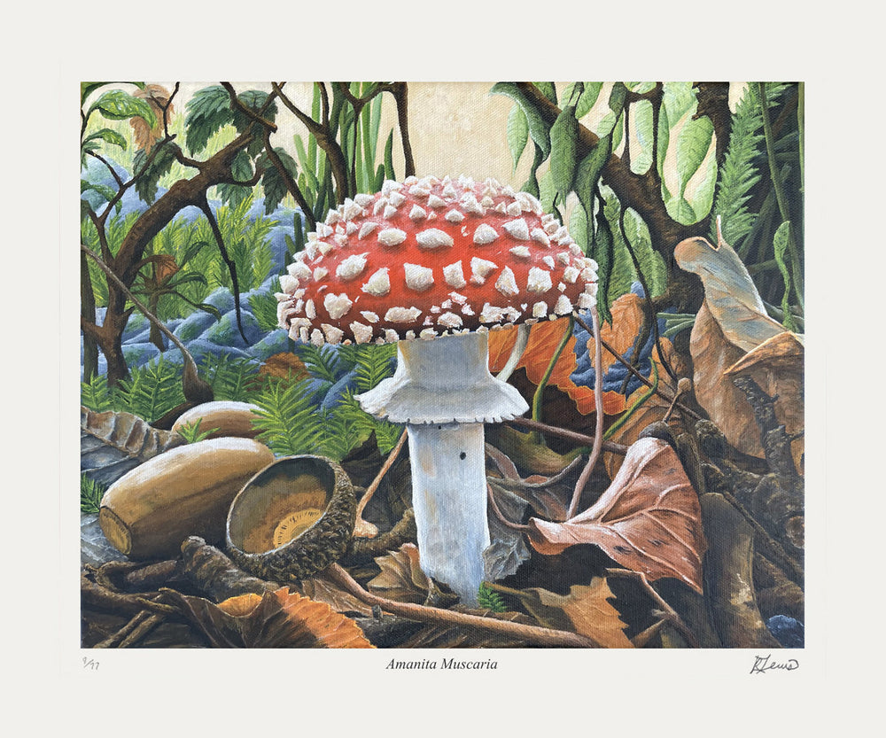 AMANITA MUSCARIA - TIRAGE D'ART LIMITÉ À 77 EXEMPLAIRES PAR RYAN LEWIS - ÉPREUVE D'ARTISTE (20 X 16.5)