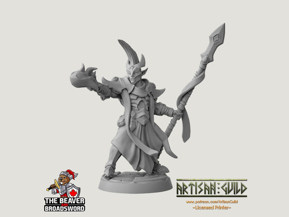Ashen Alfar Inquisitor F - Dungeons and Dragons | Male | Fighter | Paldin Cleric | Elf Drow DnD 5e Fantasy Pathfinder 2e 5e Tabletop Mini