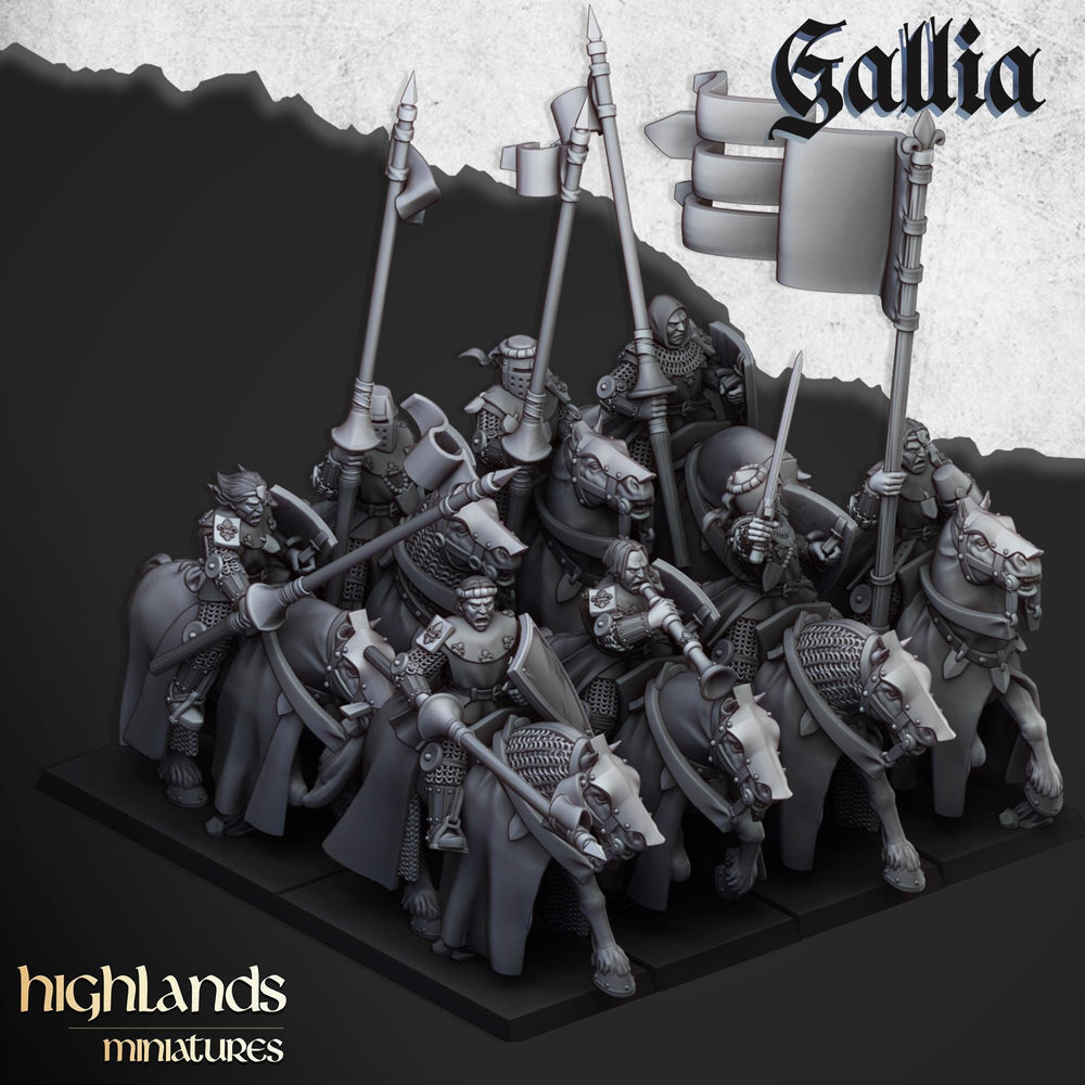 Young Knights of Gallia mini set - 28/32mm Scale Premium Resin Models for Wargaming and RPG, DnD, Human, Gallia Durable High Quality Cavalry