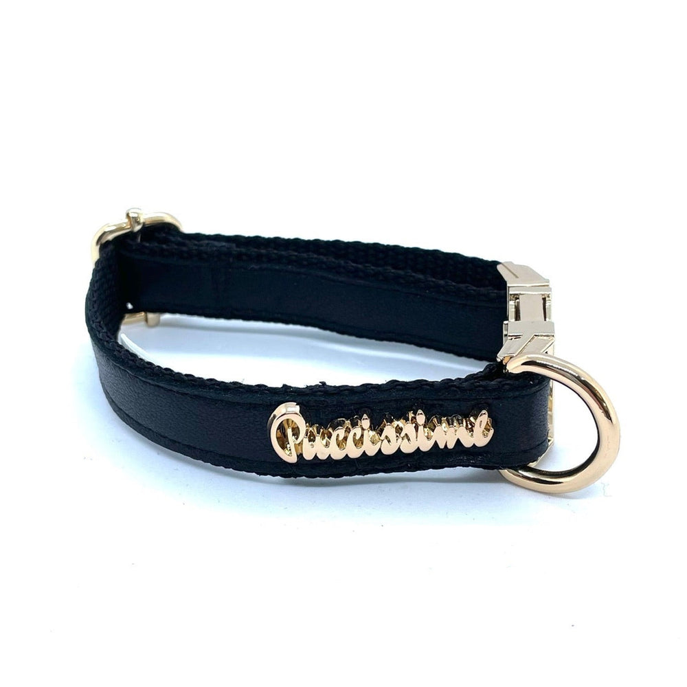 Collier pour chien Raven