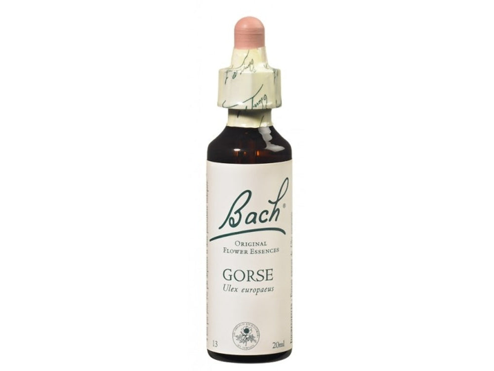 Gorse — Unytii - Suppléments et Produits Naturels