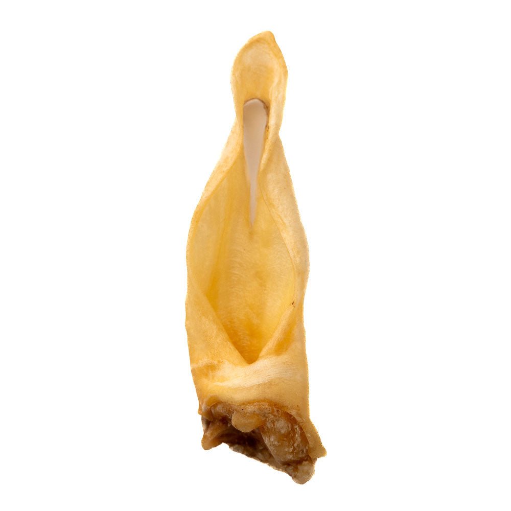 Oreille d'agneau
