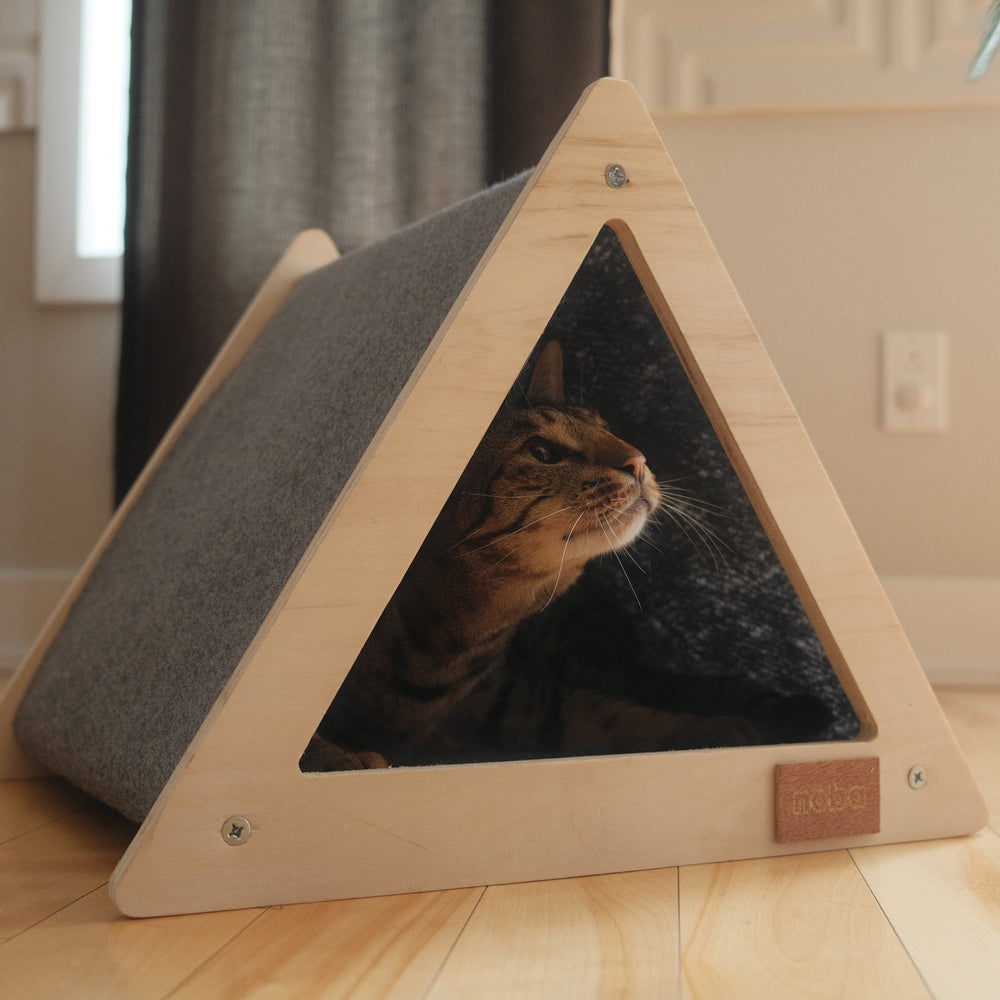La niche tipi urbaine pour animaux de compagnie